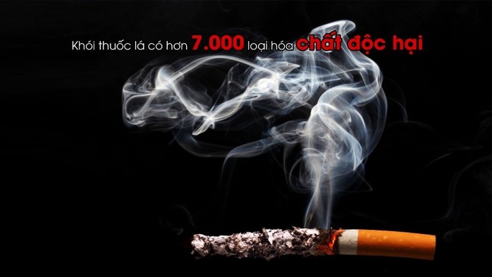 Các chuyên gia quốc tế nói về hàm lượng độc chất trong thuốc lá thế hệ mới - Ảnh 1.