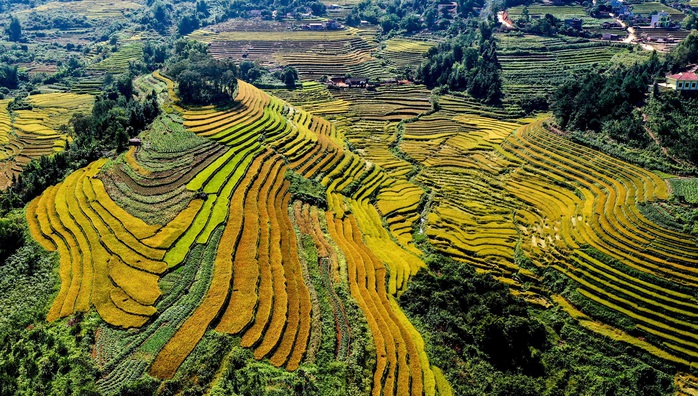 Du lịch Quảng Ninh - những tín hiệu hồi sinh - Ảnh 4. Du lịch Quảng Ninh - những tín hiệu hồi sinh - Ảnh 4.