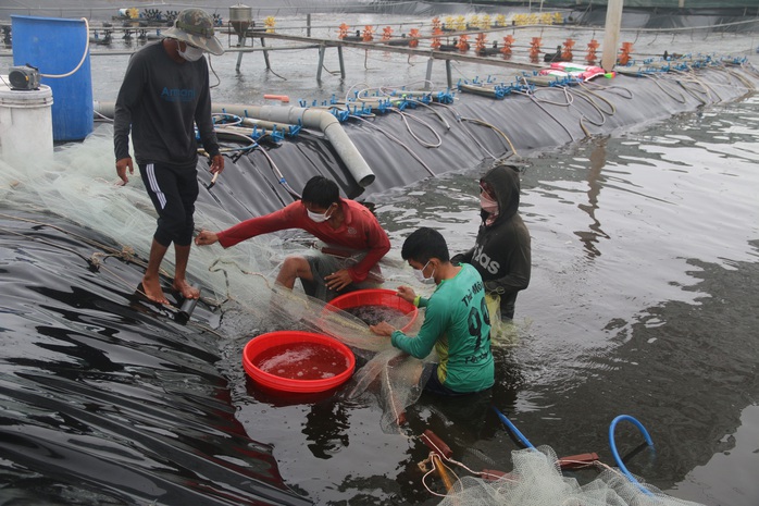 Bà Rịa- Vũng Tàu chú trọng nông nghiệp công nghệ cao - Ảnh 2.