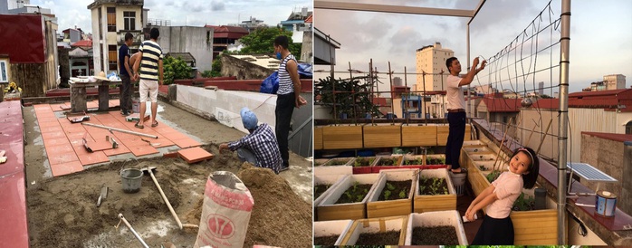 Dỡ mái nhà làm vườn - Ảnh 1. Dỡ mái nhà làm vườn - Ảnh 1.