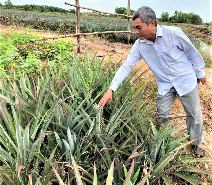 Làm giàu trên đất phèn - Ảnh 2.