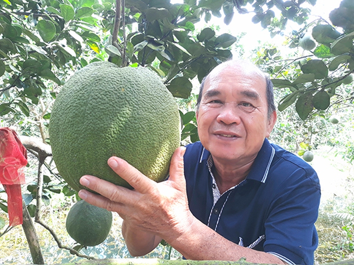 Làm giàu trên đất phèn - Ảnh 1.