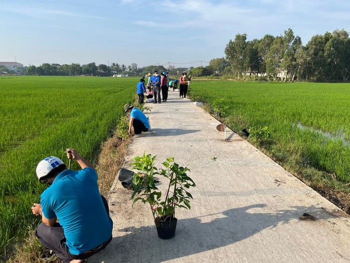 TP HCM: Bình Chánh ra quân tổng vệ sinh môi trường - Ảnh 2.