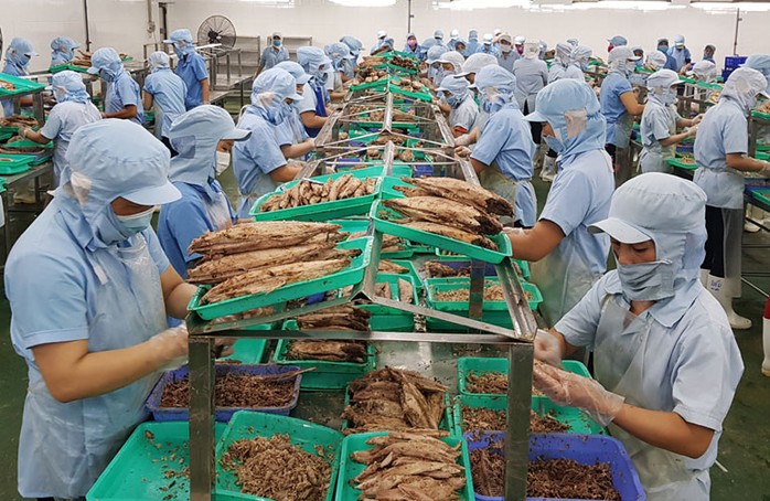 Phú Yên tìm giải pháp giải quyết việc làm cho hơn 60.000 lao động - Ảnh 1.