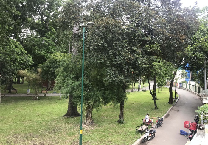 Xã hội hóa để tăng công viên, cây xanh - Ảnh 1.