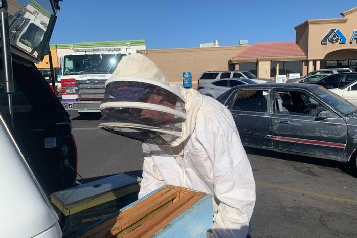 Chỉ 10 phút vào siêu thị, đàn ong mật 15.000 con chiếm xe hơi - Ảnh 3.