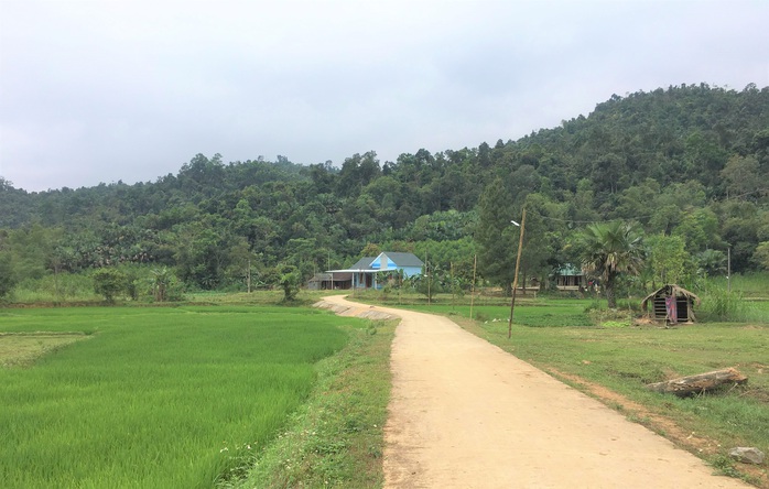 Nhìn thấy tham nhũng: Kỷ luật ngay! - Ảnh 1.