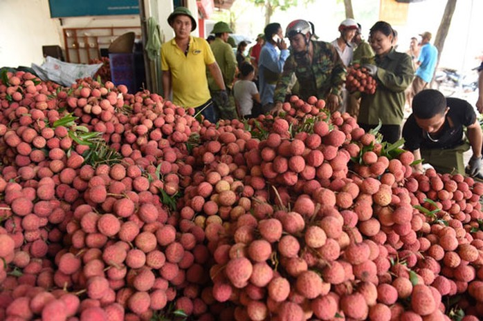 Không để nông sản tại vùng dịch ùn ứ - Ảnh 1.