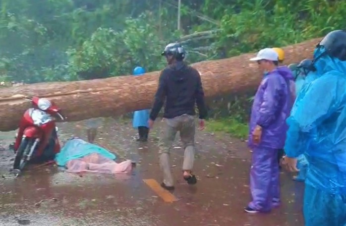 Mưa lớn kèm giông lốc cây rừng ngã đè 2 người thương vong thương tâm - Ảnh 2.