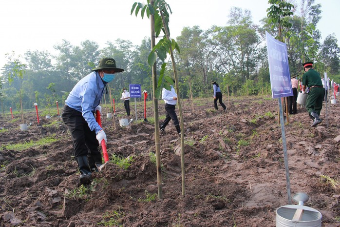 Bình Dương phát động trồng hơn 100.000 cây xanh trong năm 2021 - Ảnh 1.