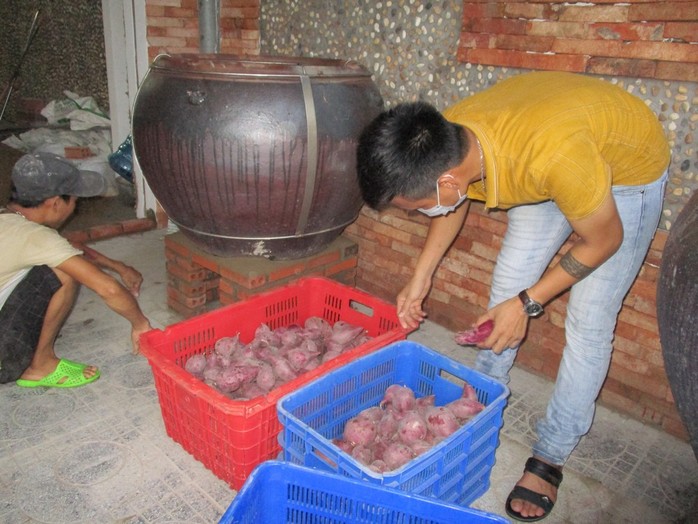 Nhiều nơi hỗ trợ tiêu thụ khoai lang tím Nhật giá 5.000 – 9.000 đồng/kg - Ảnh 3.