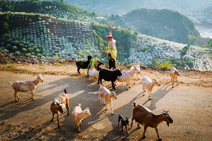 Cuộc thi ảnh“Nét đẹp lao động” lần 3 năm 2020-2021: Ươm mầm cho màu xanh hy vọng - Ảnh 2.