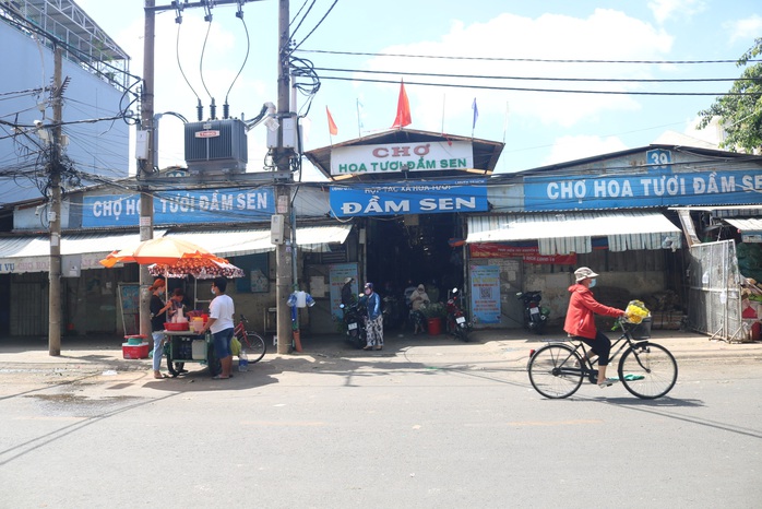 Tiểu thương chợ hoa Đầm Sen: Vui nhiều hơn buồn - Ảnh 4.