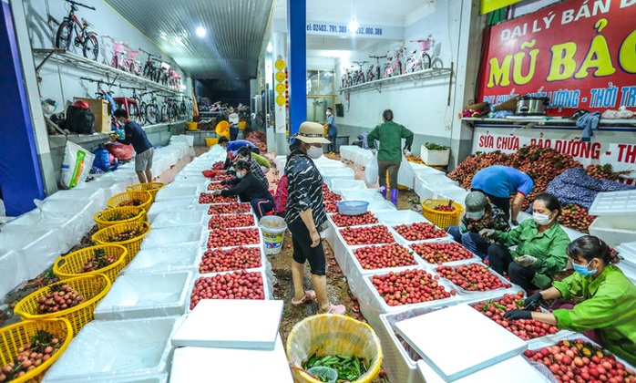 Trung Quốc nhập hơn 2,5 triệu tấn trái cây Việt Nam - Ảnh 1.