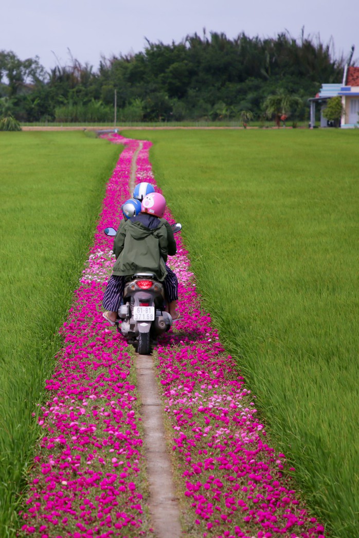 Đôi bạn đồng hành hơn 100 chuyến du lịch suốt 7 năm - Ảnh 13. Đôi bạn đồng hành hơn 100 chuyến du lịch suốt 7 năm - Ảnh 13.