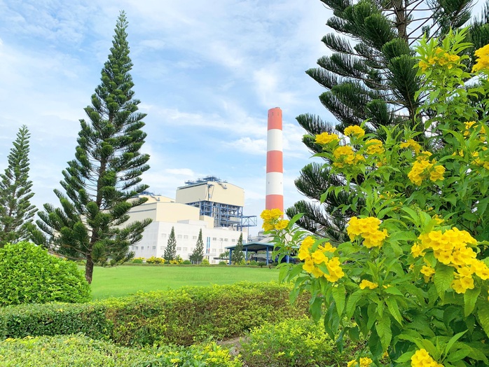 Công ty Nhiệt điện Cần Thơ hưởng ứng Ngày Môi trường thế giới và Tháng Hành động vì môi trường - Ảnh 1.