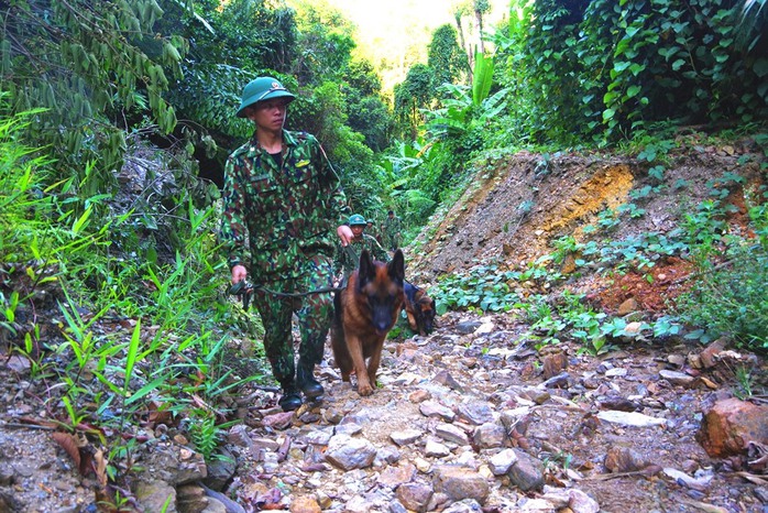 CLIP: Nổ mìn đánh sập 75 hầm vàng trong Vườn Quốc gia Sông Thanh - Ảnh 2.