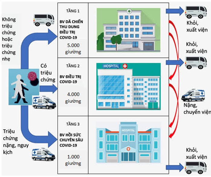 TP HCM: 200 xe khách đủ điều kiện sẽ vận chuyển bệnh nhân Covid-19 không triệu chứng - Ảnh 2.