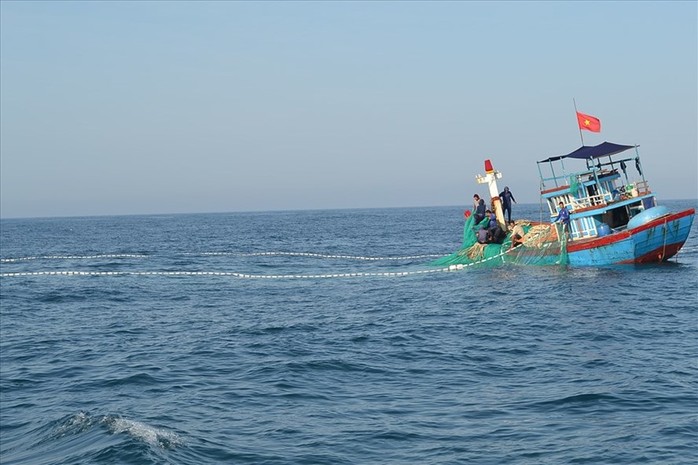 Đấu tranh giành hiệu suất cao trước yêu thương sách lối lưỡi trườn - Hình ảnh 2.