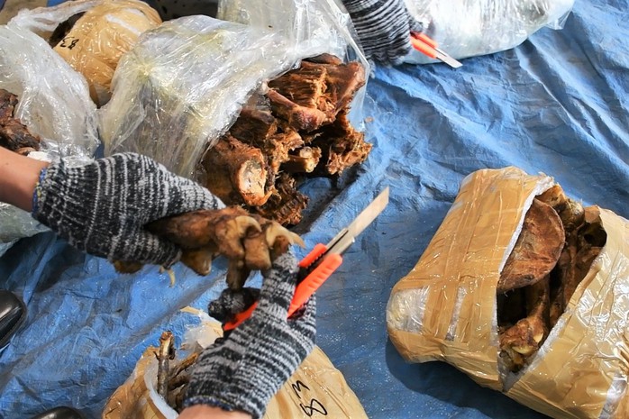 Hải quan Đà Nẵng bắt 3,2 tấn hàng nghi sừng tê giác, xương động vật hoang dã từ Nam Phi - Ảnh 2.