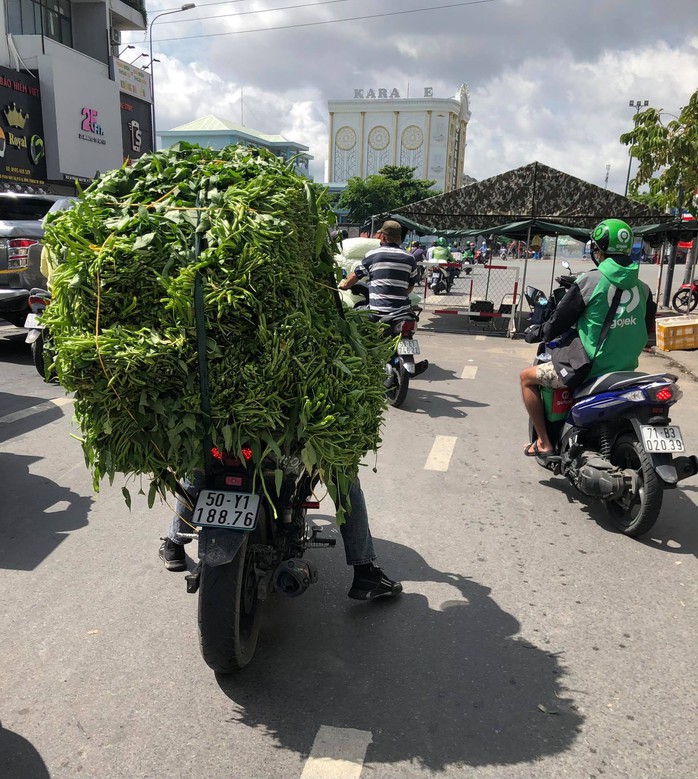 TP HCM đã thống nhất phương án đưa người dân về Đà Nẵng - Ảnh 1.