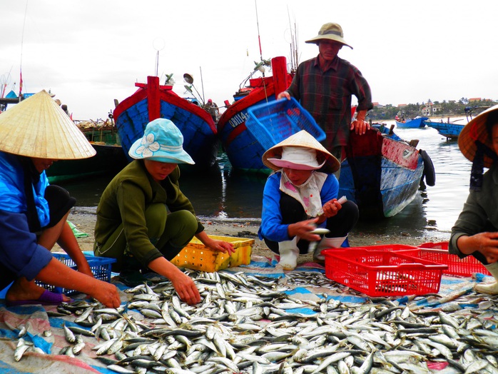 Quảng Bình góp 27,5 tấn tôm cá cùng công nhân TP HCM chống dịch - Ảnh 5.