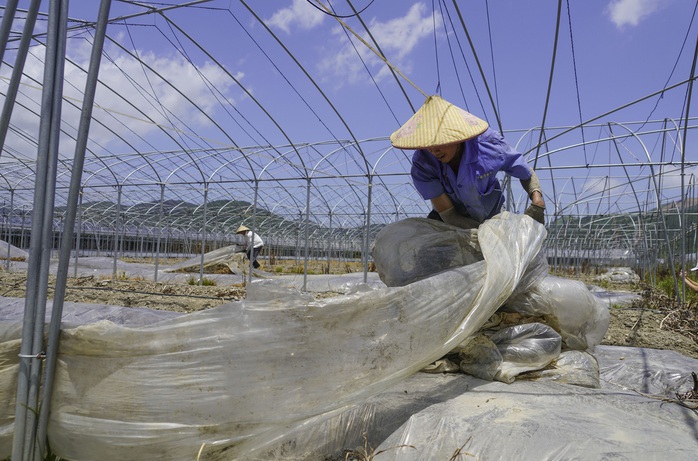 Bão In-Fa trên đường lao thẳng vào kho dầu chiến lược của Trung Quốc - Ảnh 5.