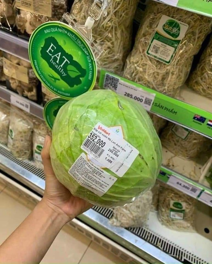 Thực hư siêu thị bán bắp cải 250.000 đồng/kg trong mùa dịch - Ảnh 2.