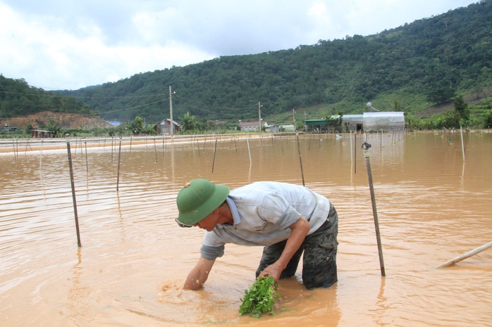 Lâm Đồng giải cứu thành công một gia đình bị lũ dữ cô lập  - Ảnh 3.