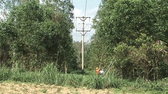 PC Quảng Ngãi: Bảo vệ lưới điện mùa khô - Ảnh 1.
