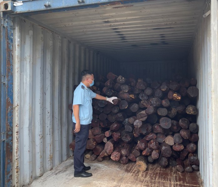 Khởi tố vụ buôn lậu gỗ giáng hương từ Ấn Độ về cảng Đình Vũ - Ảnh 2.