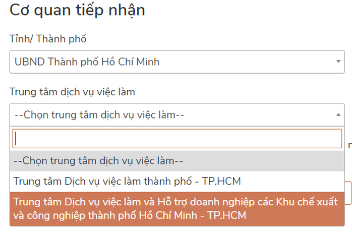 Cách nộp hồ sơ online nhận hỗ trợ Covid-19 khi không đủ điều kiện nhận trợ cấp thất nghiệp - Ảnh 5.