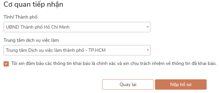 Cách nộp hồ sơ online nhận hỗ trợ Covid-19 khi không đủ điều kiện nhận trợ cấp thất nghiệp - Ảnh 6.