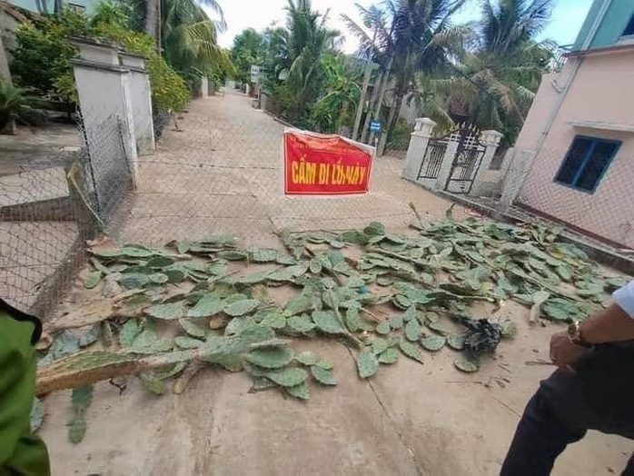 Bất ngờ với hàng rào chống dịch bằng xương rồng “có một không hai” ở Bình Định - Ảnh 2.