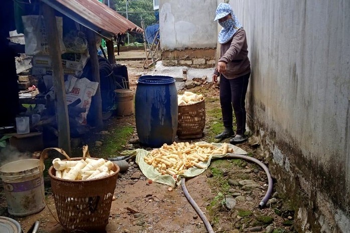 Đồng bào dân tộc thiểu số lên rừng hái măng, rau hỗ trợ người dân TP HCM chống dịch - Ảnh 7.