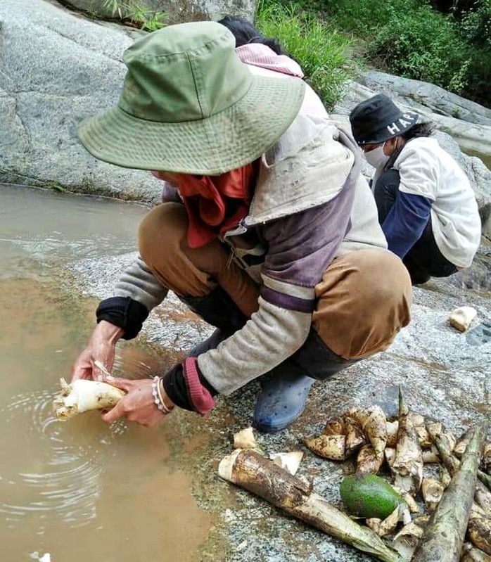 Đồng bào dân tộc thiểu số lên rừng hái măng, rau hỗ trợ người dân TP HCM chống dịch - Ảnh 2.