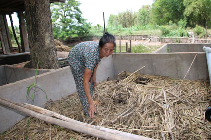 Chủ động lo sinh kế khi lũ về thấp - Ảnh 1.