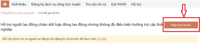 Cách nộp hồ sơ online nhận hỗ trợ Covid-19 với người lao động không đủ điều kiện nhận trợ cấp thất nghiệp - Ảnh 1.