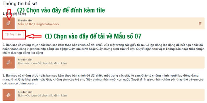 Cách nộp hồ sơ online nhận hỗ trợ Covid-19 với người lao động không đủ điều kiện nhận trợ cấp thất nghiệp - Ảnh 4.