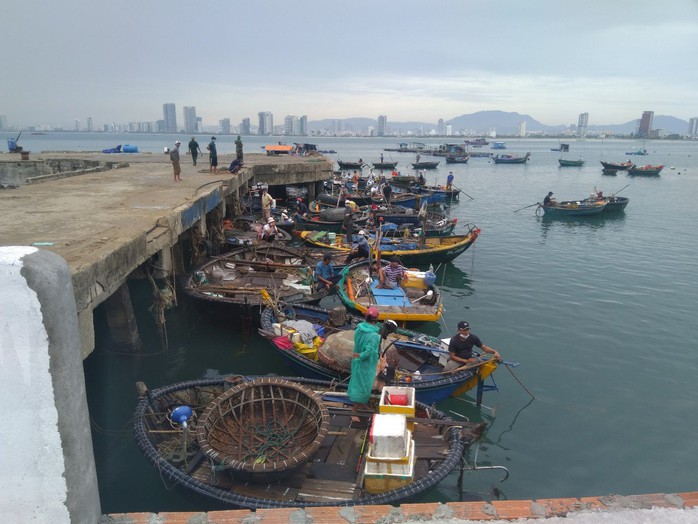 Bão chồng dịch, Đà Nẵng lên phương án chống cơn bão chưa từng có tiền lệ - Ảnh 2.