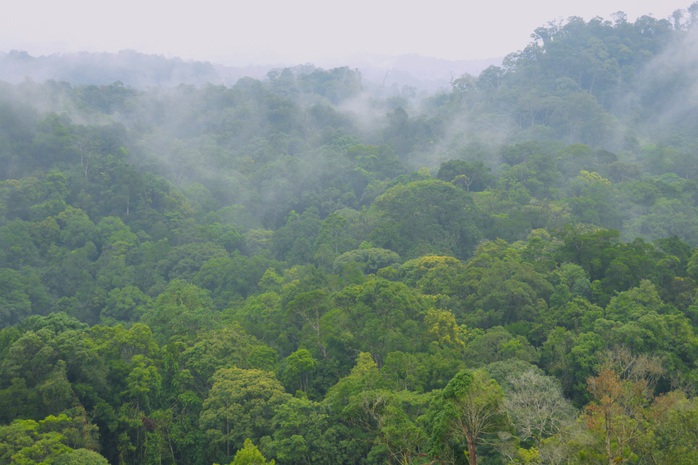 UNESCO công nhận Núi Chúa và Cao nguyên Kon Hà Nừng là Khu dự trữ sinh quyển thế giới - Ảnh 2.