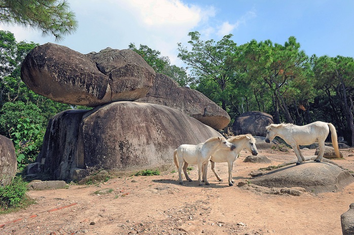 Du lịch xứ Thanh: Sẽ không còn “độc canh mùa vụ” - Ảnh 1. Du lịch xứ Thanh: Sẽ không còn “độc canh mùa vụ” - Ảnh 1.