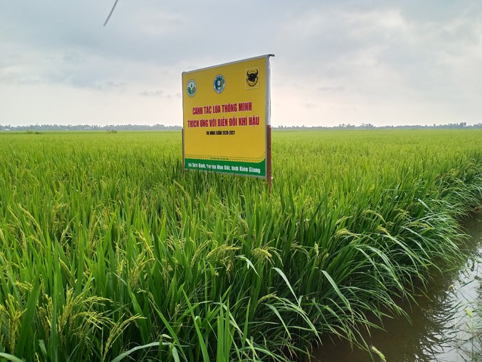 Giải pháp trên vùng đất nhiễm mặn - Ảnh 3. Giải pháp trên vùng đất nhiễm mặn - Ảnh 3.