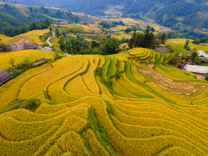 Khoảnh khắc sang thu ở các thành phố du lịch Đà Lạt, Hội An - Ảnh 2. Khoảnh khắc sang thu ở các thành phố du lịch Đà Lạt, Hội An - Ảnh 2.