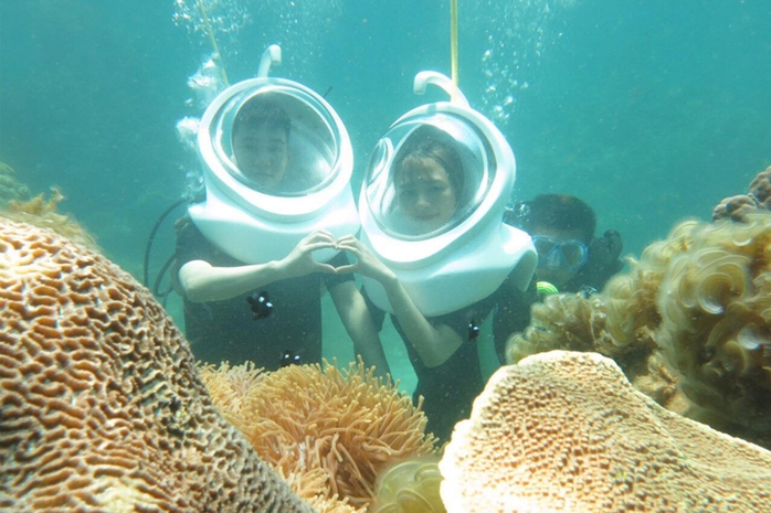 Phục hồi hệ sinh thái rạn san hô tại vịnh Quy Nhơn - Ảnh 4.