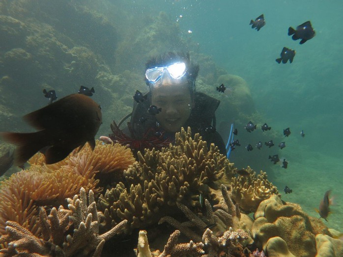 Phục hồi hệ sinh thái rạn san hô tại vịnh Quy Nhơn - Ảnh 3.