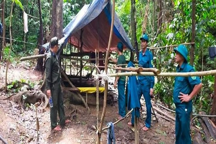 Đà Nẵng: Làm rõ nhóm người vào rừng lập lán trại, khai thác vàng trái phép - Ảnh 1.