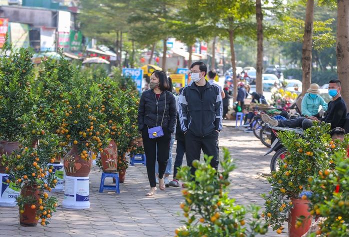 CLIP: Sức mua giảm, thị trường cây cảnh Tết ở Hà Nội ảm đạm - Ảnh 9.