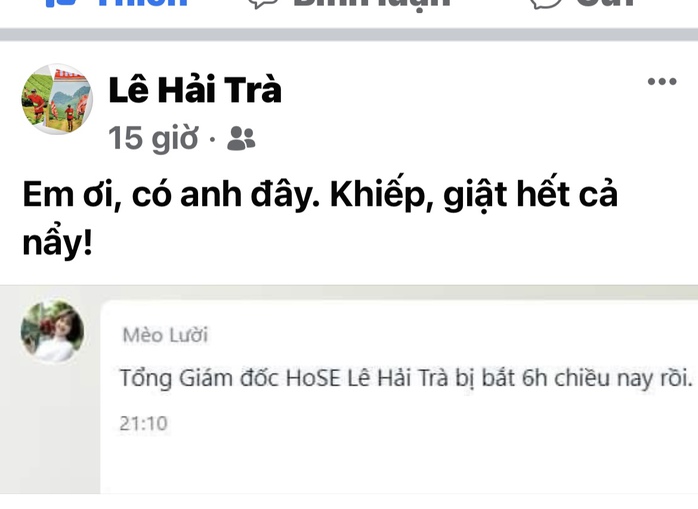 HoSE: Thông tin Tổng Giám đốc Lê Hải Trà bị bắt là bịa đặt - Ảnh 1.