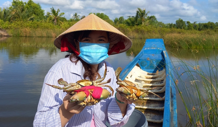 Yên tâm đón Tết - Ảnh 2.